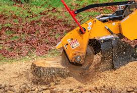 How Our Tree Care Process Works  in  Clatskanie, OR